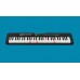 Casio LK-S250 - синтезатор для начинающих с подсветкой клавиш, Dance Music Mode + 12 голосовых сэмплов Dance Music Voice