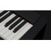 Casio Privia PX-S1000 - суперкомпактное цифровое пианино высокого уровня с возможностью автономной работы